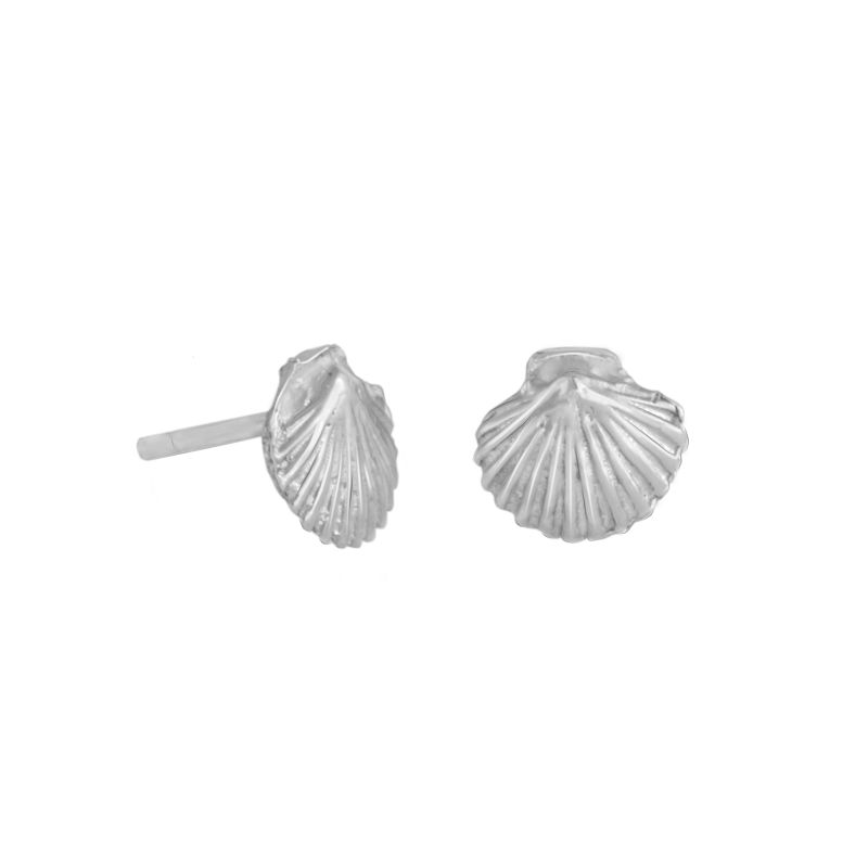 Silver Stud earrings 'Conchita' shell 